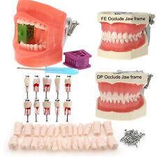 5Pcs Kilgore Nissin Dental RCT Endo Root canal Practise Typodont Teeth Model picture
