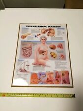 Vintage 1992 Anatomical Chart 