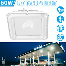 60W Gas Station LED Canopy Lights With Dusk To Dawn Garage Ceiling Lamp 100-277V picture