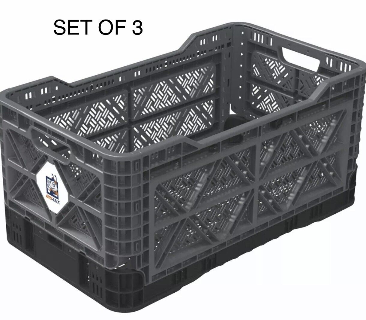 BIG ANT Collapsible Smart Crate 23.8-Gallon 265-Lb. Capacity