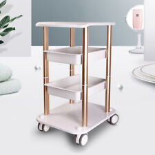 Salon Trolley Stand For RF Cavitation Assembled Rolling Cart SPA Beauty Tool picture
