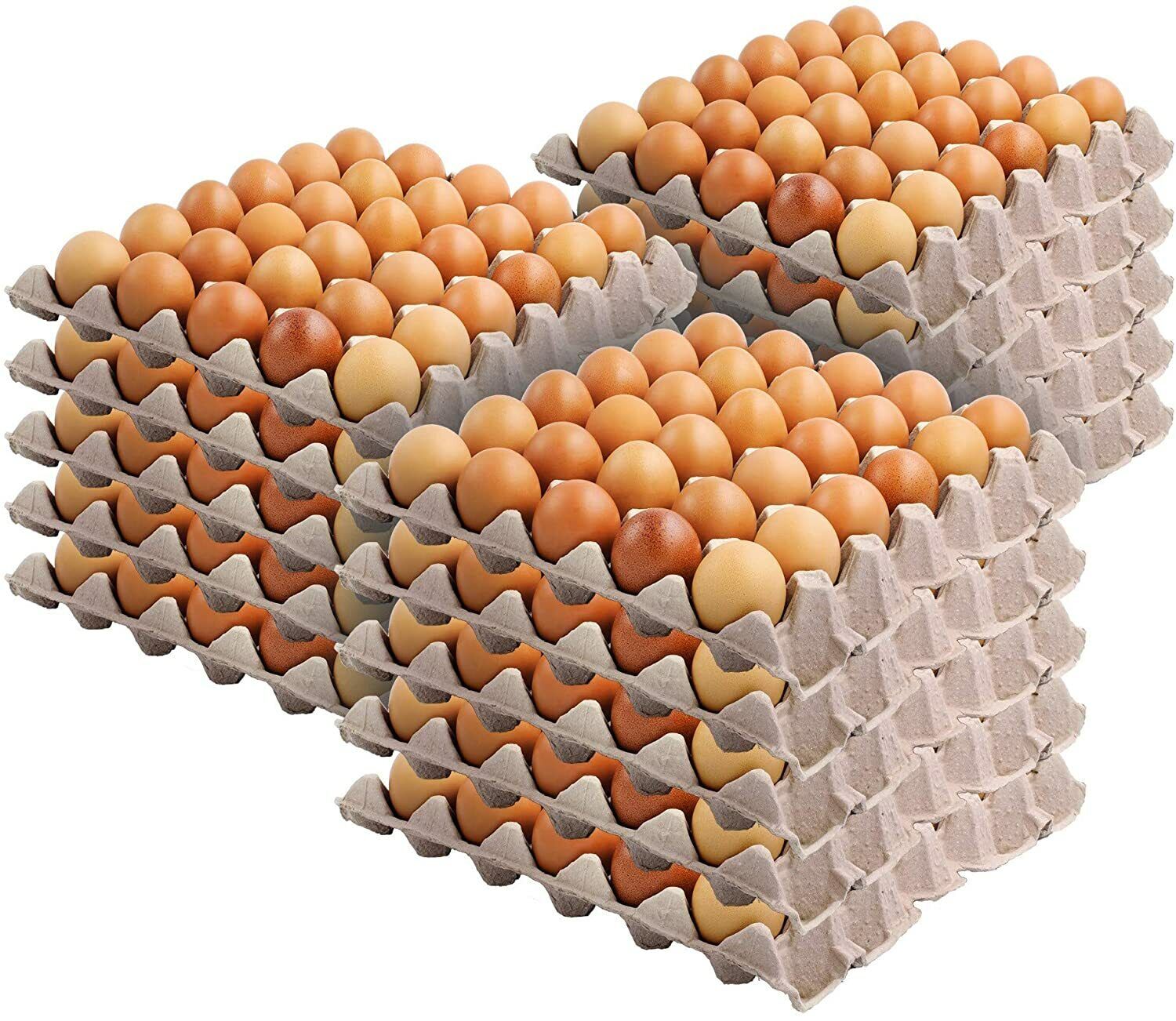 Stock Your Home 30-Cell Stackable Egg Crates, Pulp Fiber (15 Pack)