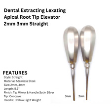 Dental Extracting Lexating Apical Root Tip Elevator Set 2mm 3mm Straight picture