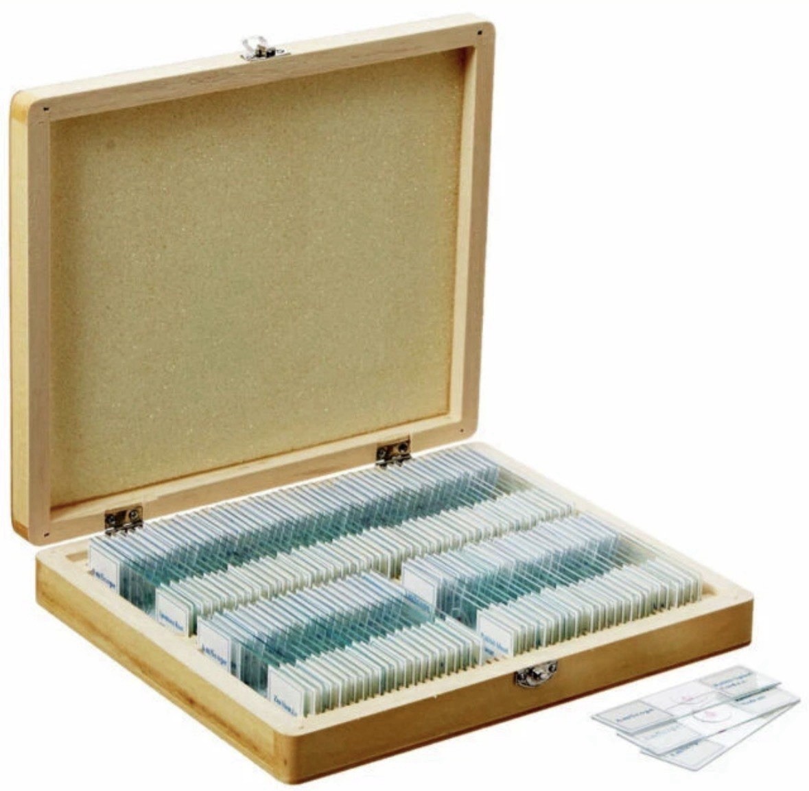 AmScope PS100B 100pc Prepared Biological Microscope Glass Slides Set B