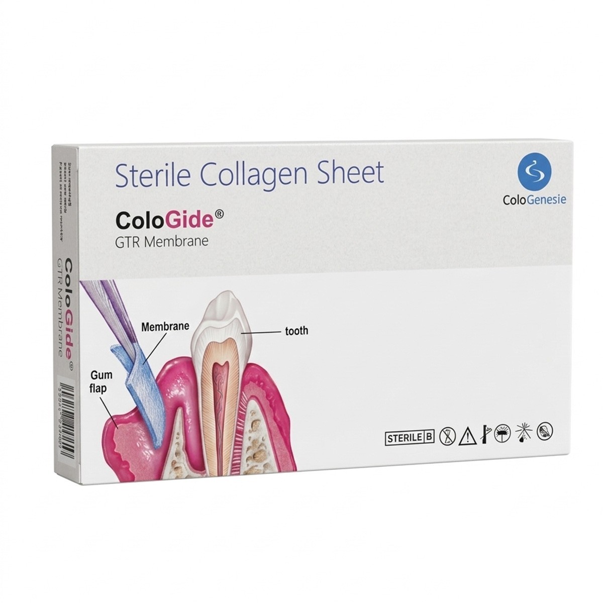 Dental Pack Of 10 New Colo Gide Sterile Collagen Sheet GTR Membrane 10 x 15mm