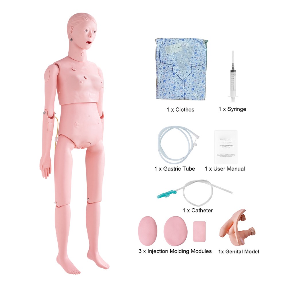 Female/Male Manikin Model with Swappable Genitals Anatomical Nursing Training Female/Male Manikin Model with Swappable Genitals Anatomical Nursing Training