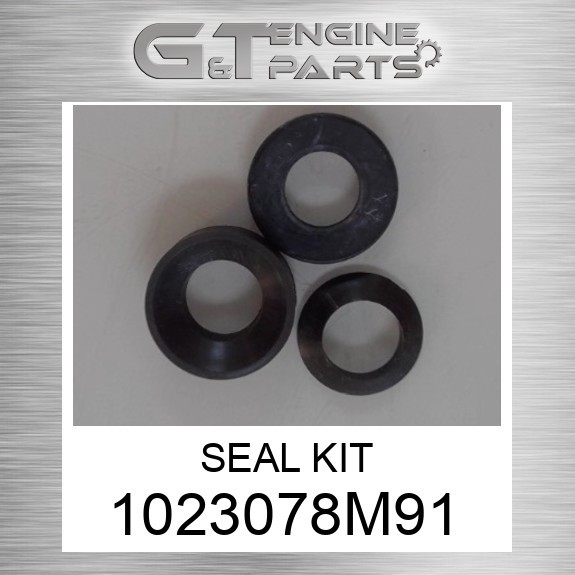 1023078M91 SEAL KIT fits AGCO (Surplus Open Box)