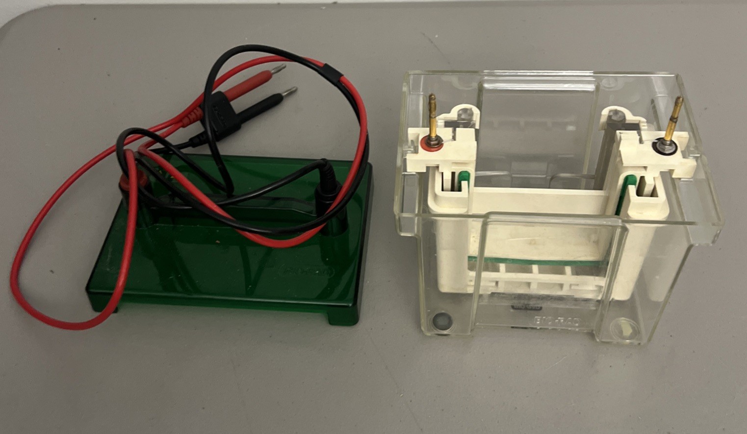 Bio-Rad Mini Protean 3 Cell Trans-Blot Electrophoresis System