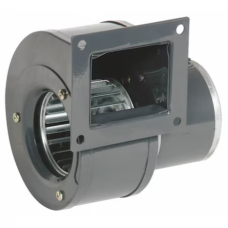 Dayton 3Frg8 Oem Blower, Direct Drive, 3-7/8 In Wheel Dia, 149 Cfm, 12V Dc, 1