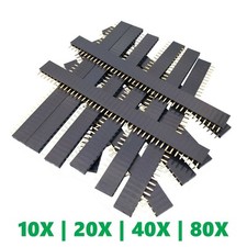 40-Socket Female Header 0.1