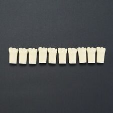 10pcs/lot Individual Replacement Teeth For 32 Teeth Typodont Kilgore Nissin 200  picture