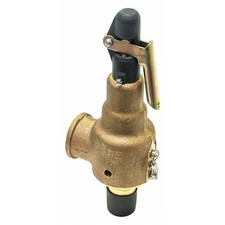 Kunkle Valve 6010Fem01aam0100 Safety Relief Valve, 1In.X1-1/4In., 100Psi picture