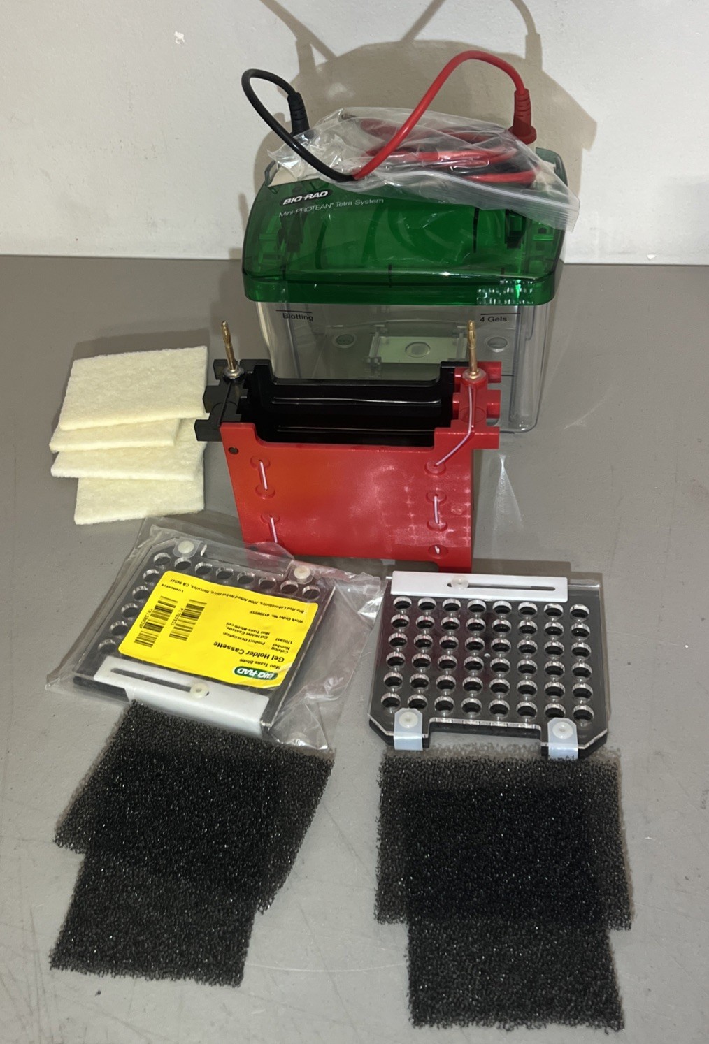 Bio-Rad Mini PROTEAN TETRA System Cell and Mini Trans-Blot System Biorad Bio-Rad Mini PROTEAN TETRA System Cell and Mini Trans-Blot System Biorad
