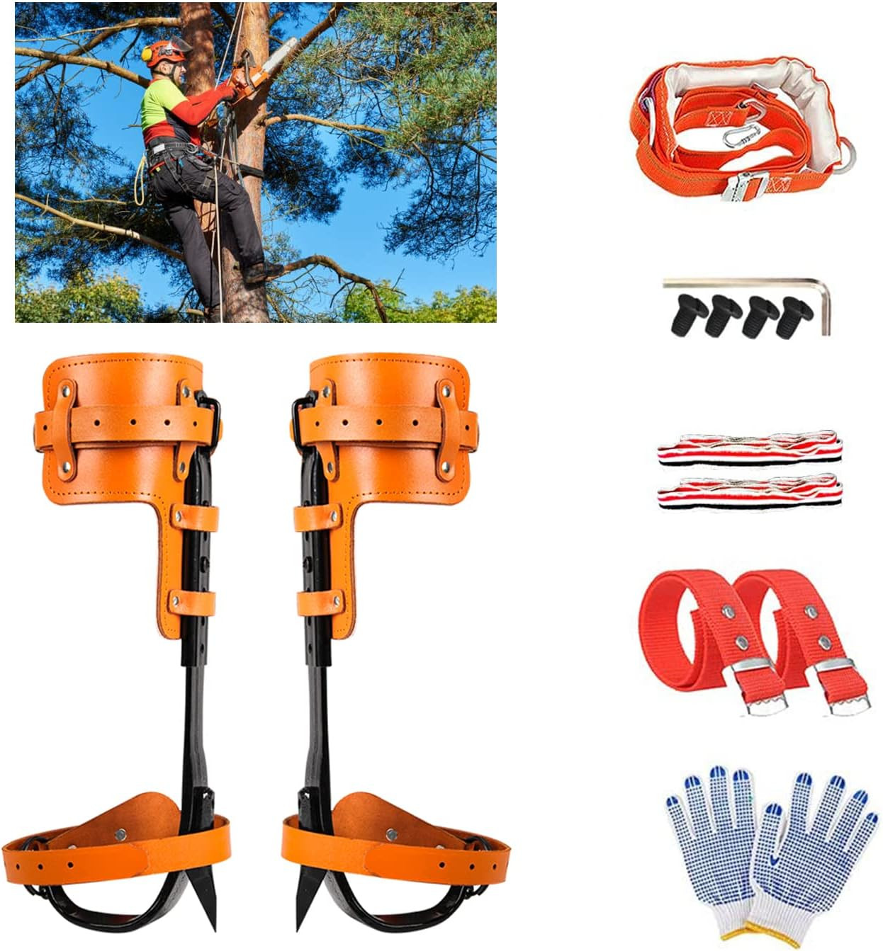 Tree Climbing Spikes Set, Adjustable 304 Stainless Steel Spikes with Non-Slip Pe Tree Climbing Spikes Set, Adjustable 304 Stainless Steel Spikes with Non-Slip Pe