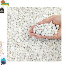 10 lbs White Pebbles for Indoor Plants, 3/8 Inch Decorative White Stones. Polish picture
