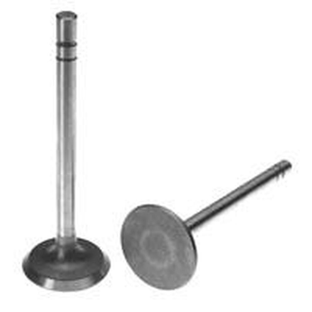 211-1806 Intake Valve Fits Case