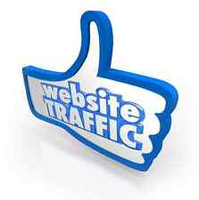 UNLIMITED real visitors to your website for 1 month. Increase your traffic flow picture