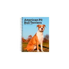 2024 BrownTrout American Pit Bull Terriers 6
