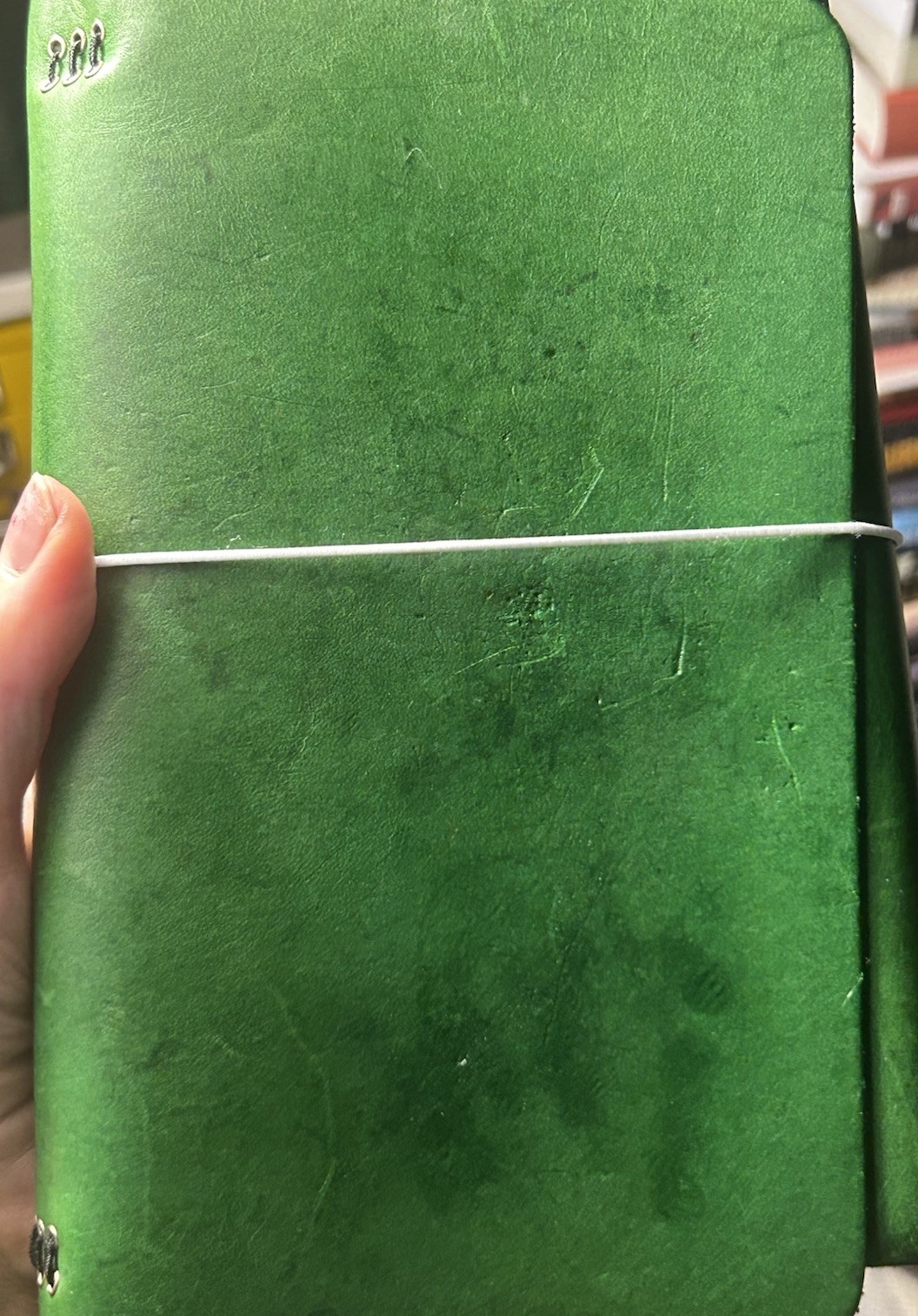Louise Carmen Medium Leather Journal Primavera Green With Patina