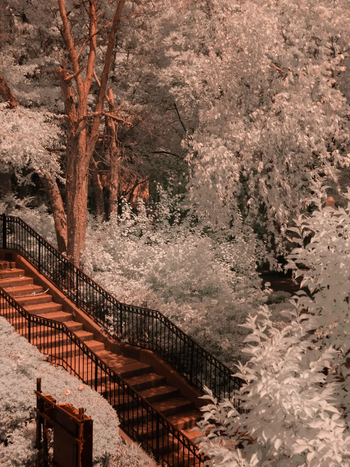 Converted Infrared Camera Nikon D70s Full Spectrum Converted Infrared Camera Nikon D70s Full Spectrum