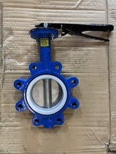 4” Butterfly Valve, Lug, Ductile Iron Body, Stainless Steel Disc, Ptfe Seat picture