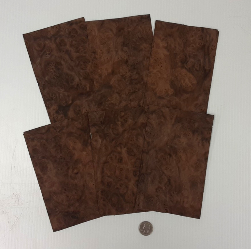 1 Lot Of 6pcs Walnut Burl Raw Veneer Shorts, Lot #381 1 Lot Of 6pcs Walnut Burl Raw Veneer Shorts, Lot #381