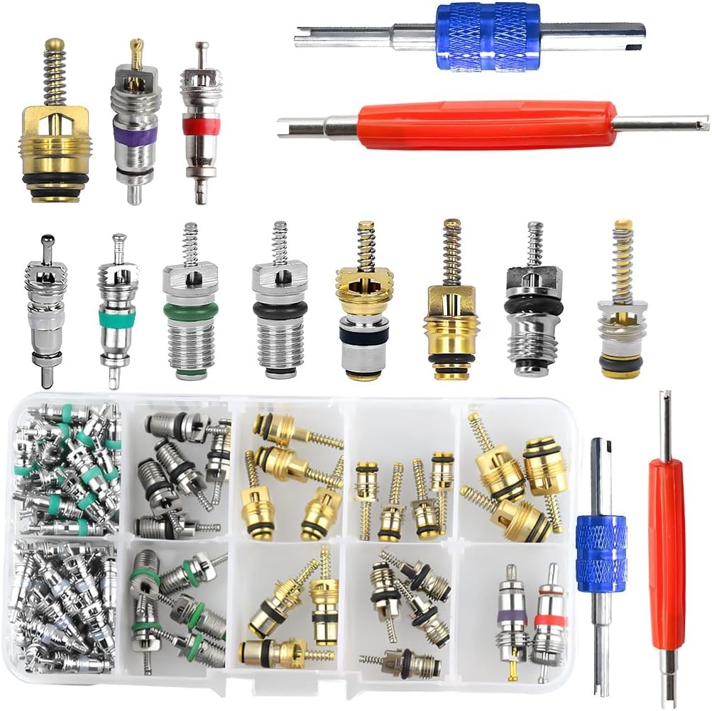 102PCS Car AC Valve Core Kit R134A R12 with Dual Remover Tool 102PCS Car AC Valve Core Kit R134A R12 with Dual Remover Tool