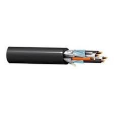 50' Belden 1075A 20 AWG 2 Pair Power Limited Tray Cable Black PVC Jacket 300V picture