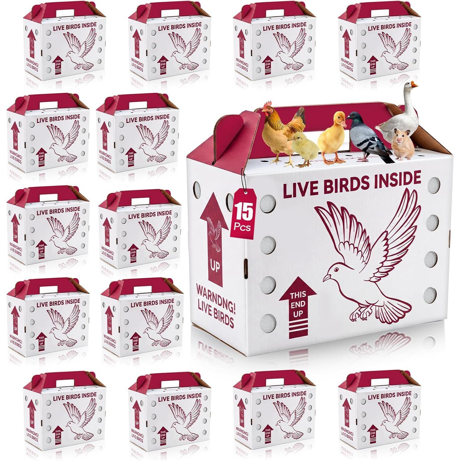 15 Pack Live Chicken Shipping Boxes, 17.5