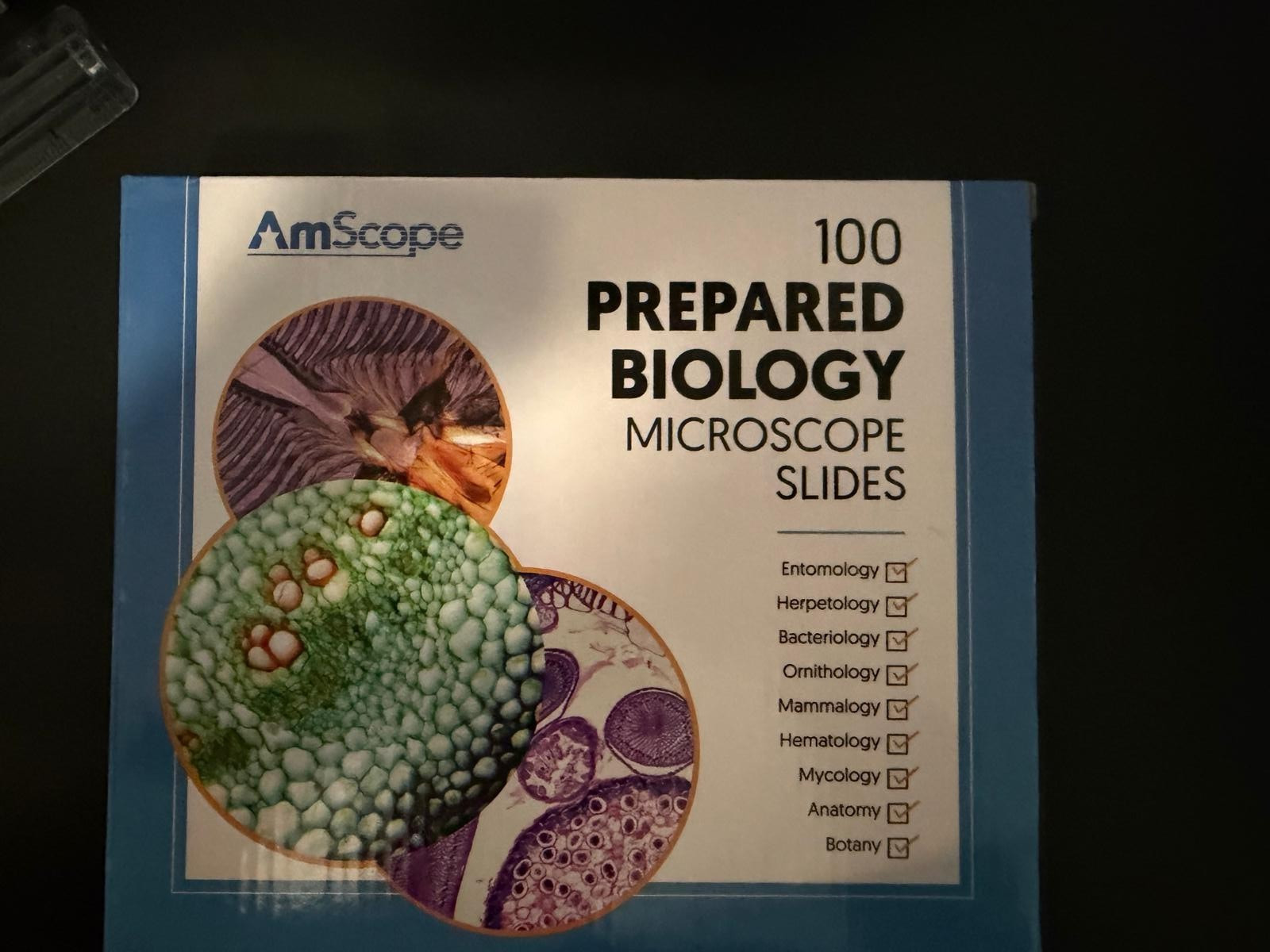 AmScope PS100B Microscope Glass Slide - 100 Count