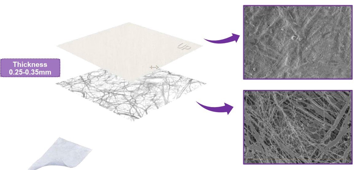 Vidasis Regenerative Resorbable Collagen Dental Membrane 15mm x 15mm GTR GBR Vidasis Regenerative Resorbable Collagen Dental Membrane 15mm x 15mm GTR GBR