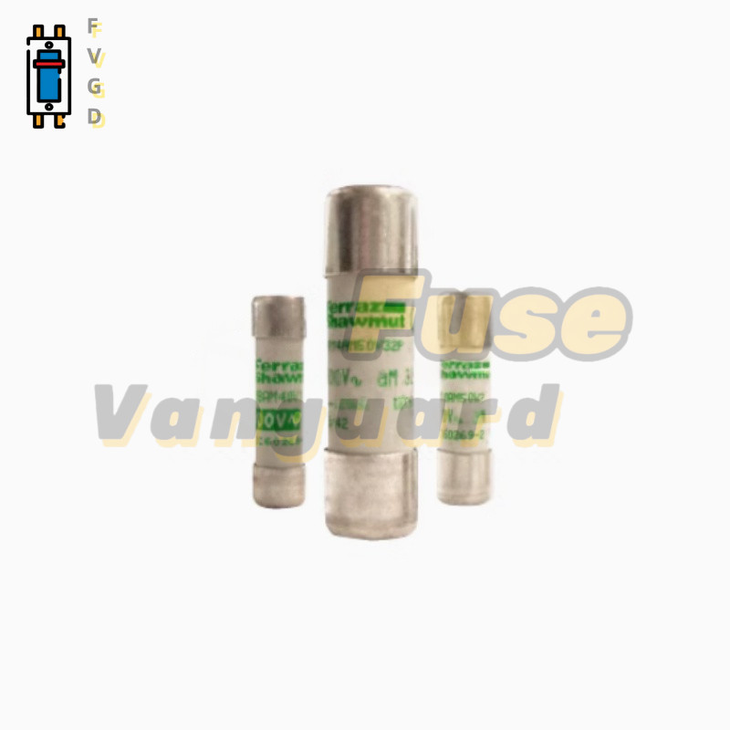 10PCS New Ferraz Shawmut FR10AM69V6 690V 6A Fuse 10PCS New Ferraz Shawmut FR10AM69V6 690V 6A Fuse
