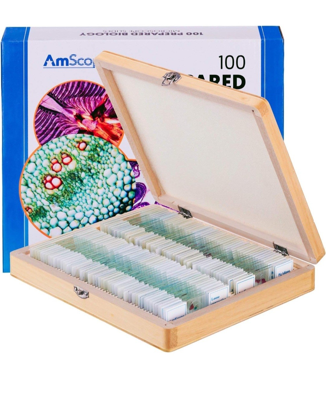 AmScope PS100B 100 Homeschool For Basic Biology Prepared Microscope Slides -Set AmScope PS100B 100 Homeschool For Basic Biology Prepared Microscope Slides -Set
