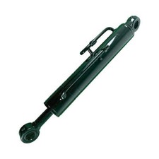 AGT NEW Boom Cylinder for Mini Excavators Digger| DBYG picture