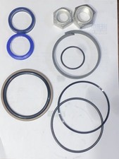 Seal Kit For AGCO 70270622 picture