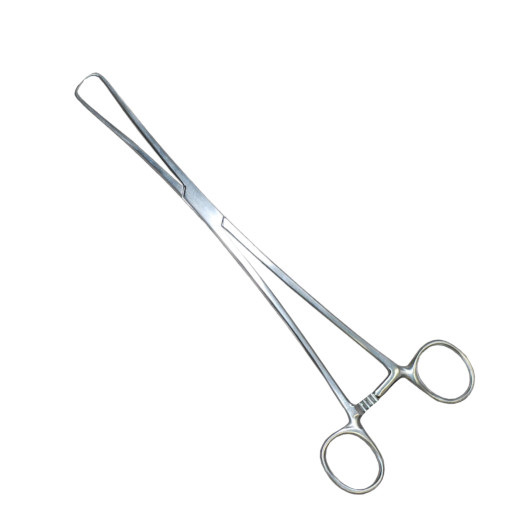 Set of 5 Schroeder-Braun Tenaculum Forceps, 9.75\