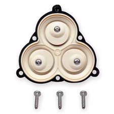Pentair Shurflo 94-395-16 Diaphpmpreprkit, 3/8