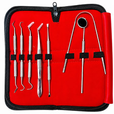 7 Pcs Dental Instrument Set Stainless Steel, Tartar, Plaque, Scaler, Teeth Clean picture