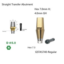 Dental Titanium Cemented Straight Abutment Fit Hiossen ET Regular Hex Platform picture