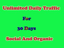 Targeted website traffic for 30 days - Drive Interested Buyers to your websites picture