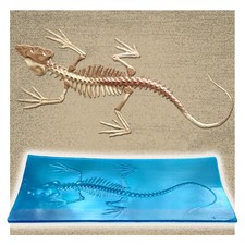 Polyurethane Mat Stamp RELICT LIZARD  |  Concrete Stamping Tool Texture Imprint picture