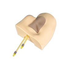 Ultrasound-Guided Femoral Artery Vein Puncture Training Model, Injection Simulat picture