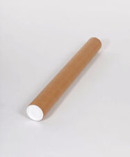 Mailing Tubes Pick COLOR TYPE QTY Colored Kraft White Tubes with End Caps picture